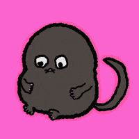 Idc Idk GIF