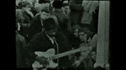 GIF by Muddy Waters