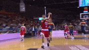 liga endesa basketball GIF by ACB