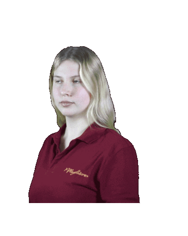jobangebote paderborn