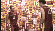 Cuc GIF by CUCougars