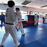Judo GIF