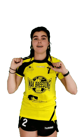 HVGeelZwart giphyupload handbal geelzwart geel-zwart Sticker