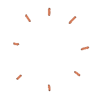 rovinya stars sparkle flash zoom Sticker