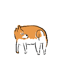 Shiba Inu Wow Sticker