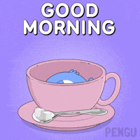 Good Morning Coffee GIF by Pudgy Penguins