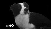 Mumbie  GIF