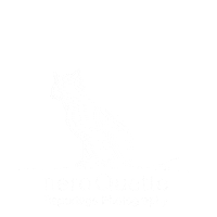 Jumping Cat Sticker by neroQuette Reportage Photography