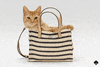 cat GIF by kate spade new york