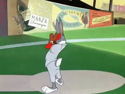baseball GIF