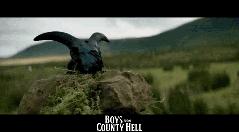 GIF by Wildcard Distribution