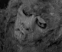 Season 5 Monster GIF by Paramount+