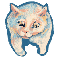 Cat Meme Sticker