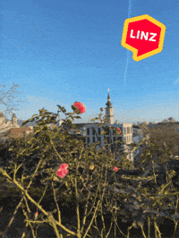 Winter Wow GIF by Linz News