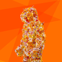 easyjet facepalm GIF