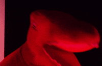 Stack Up Vibes GIF by StackUpDotOrg