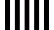 Happy Football GIF by SK Sturm Graz