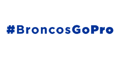 Boise State Go Broncos Sticker by Boise State University