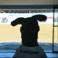 Lafe GIF by LIBERUM