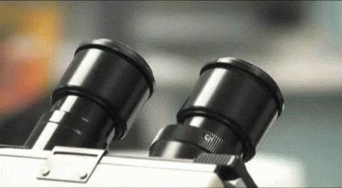 microscope GIF