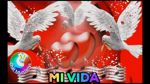 Mi Vida Corazon GIF by murcianys
