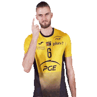 Volleyball Warning Sticker by PGE Skra Bełchatów