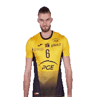 Volleyball W Sticker by PGE Skra Bełchatów
