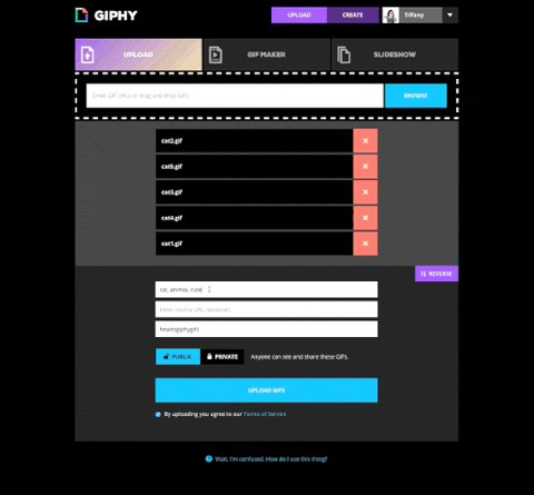 Tagging Upload GIF by How To Giphy