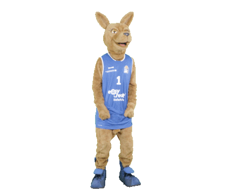 social-media-easycredit giphyupload basketball easycredit ellihoop Sticker