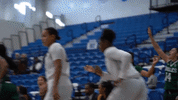 emueagles goeagles GIF by EMU Athletics