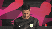 Vfl Wolfsburg Football GIF by Bundesliga