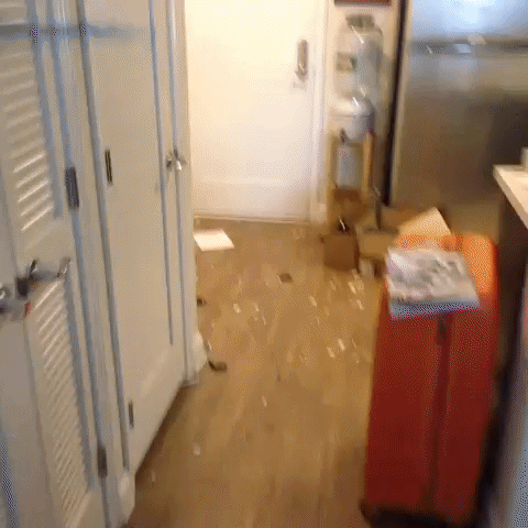 GIF by andymilonakis