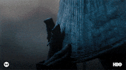 Season 2 Dolores GIF by Westworld HBO