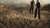 Dave Meyers GIF by P!NK