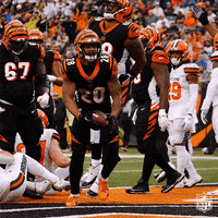 Celebrate National Football League GIF by NFL