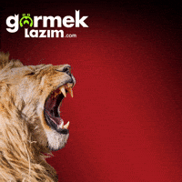 Galatasaray Gala GIF by Görmek Lazım