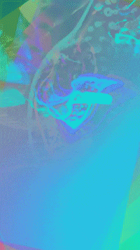 Rainbow Leaf GIF by Mollie_serena