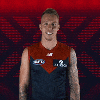 melbourne football club afl GIF by Melbournefc