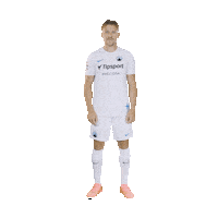 Fcsl Sticker by FC Slovan Liberec