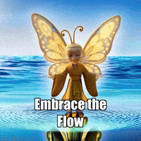 Water Ocean GIF by BuddhaFlyJourney