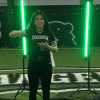 Parkside Softball GIF by Parkside Athletics