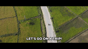 GIF by saregama