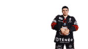 Ice Hockey Goal Sticker by Boxers de Bordeaux