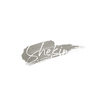rccdiocesejacarezinho juventude rcc shekinah jacarezinho Sticker