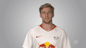 rb leipzig GIF by Bundesliga