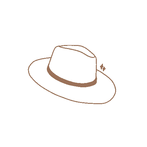thelovelyhairclass giphyupload hat lovely fedora Sticker