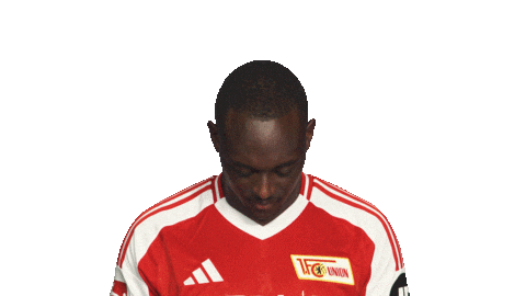 Look Up Union Berlin Sticker by Bundesliga