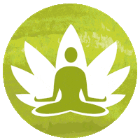 Yoga Zurich Sticker by HITZBERGER