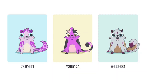 GIF by CryptoKitties