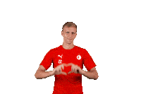 Football Love Sticker by FORTUNA:LIGA